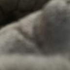 alkibeach87 (Lynn) OnlyFans content 

 profile picture