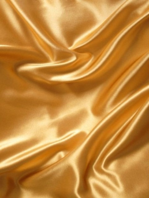 Header of asshleygonz