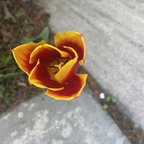 Free access to (@babydoll360) Leaks OnlyFans 

 profile picture