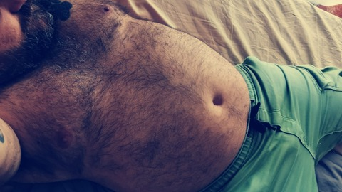 Header of bear_spain
