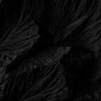 cat_damage (Dangerous Cat) free OnlyFans Leaked Content 

 profile picture