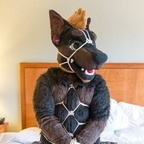 daddydober (Daddy Dober ฅ^•ﻌ•^ฅ) free Only Fans Leaked Pictures and Videos [!NEW!] profile picture