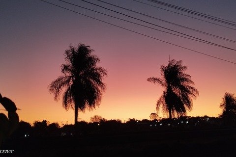 Header of eduardo41961682