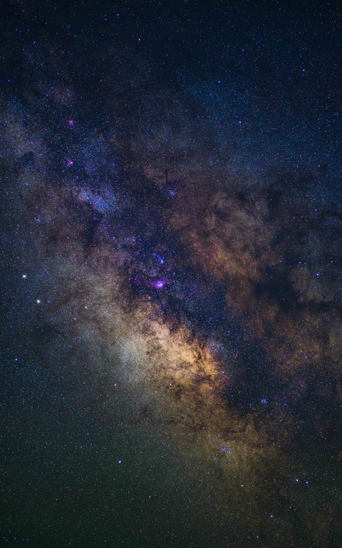 Header of halfmoon