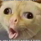 Nickxoxo @nickxoxo Leaked OnlyFans 

 profile picture