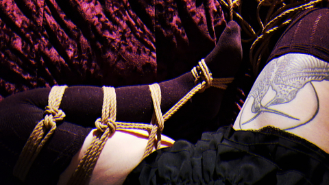 Header of robyngraves