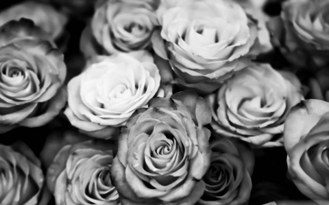 Header of sissiixx