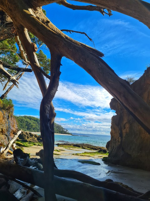 Header of summerstunner