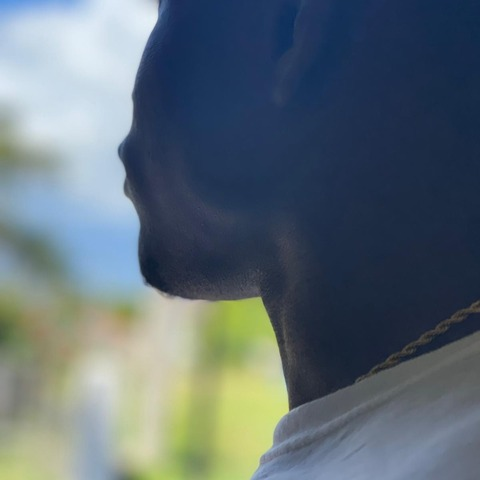 Header of woow_man